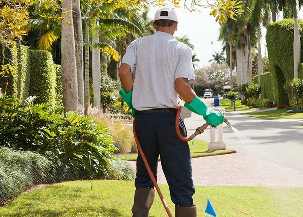 About Tallman NY Pest Control